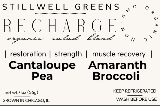 RECHARGE - Muscle & Cellular Repair