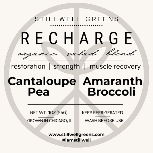 RECHARGE - Muscle & Cellular Repair